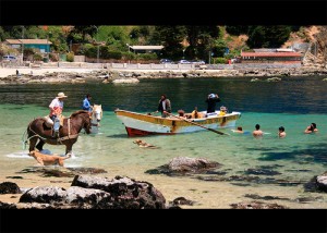 Rodrigo Avisos gratis en Chile en Horc&oacute;n |  alojamiento econ&oacute;mico en la playa, playa de Horcon, claron, caucau, etc, veranee barato y disfrute al maximo