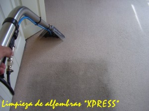 *XPRESS* LIMPIEZA DE ALFOMBRAS & TAPICES Avisos gratis en Chile en Vi&ntilde;a del Mar |  LAVADO DE ALFOMBRAS Y TAPICES., CASAS,DPTOS,OFICINAS.